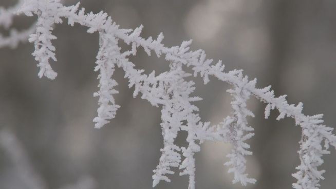 Weißes Moor und Eiszapfen: Die schöne Seite des Winters