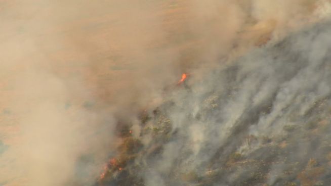 Was man bei einem Waldbrand beachten sollte